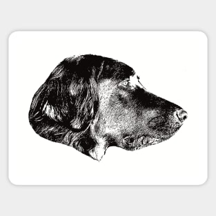 Gordon Setter gift for Gordon Setter Owners Sticker